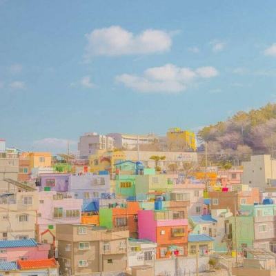 手机买彩票app下载手机app下载