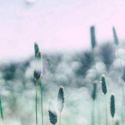 天博tb·综合体育